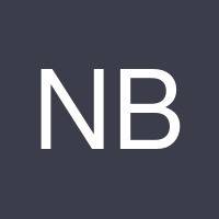 Nitzan Bamnulker's profile image