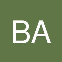 Brigid Atsemet's profile image