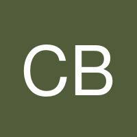 Chris Blevins's profile image