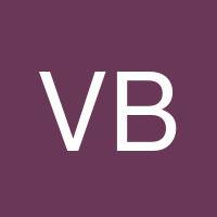 Viktor Bondar's profile image