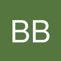 Batu Bastug's profile image