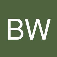 Brenda Williams's profile image