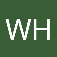 Winston Hong's profile image
