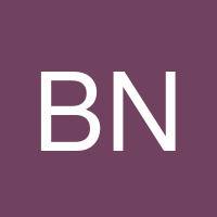 Bertrand Nkongdem's profile image