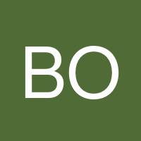 Brittania O'Brien's profile image