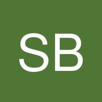 Stephen Babagian's profile image