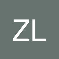 Zhongyi Lin's profile image