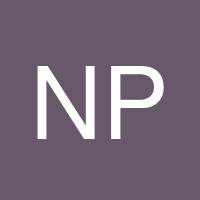 Needless Pirate's profile image