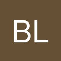 Bill Lake's profile image