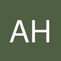 Avideh Haghighi's profile image