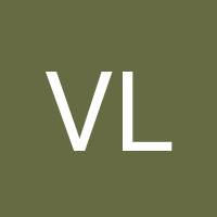 Viktor Luzar's profile image