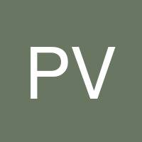 Pedro Villa's profile image