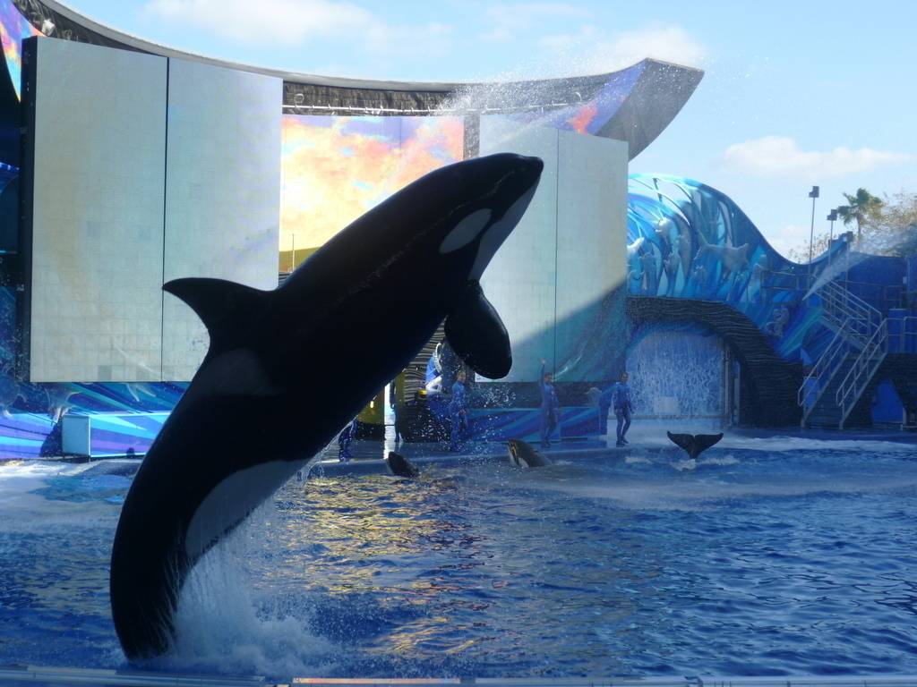 Mayra Gouveia's profile image