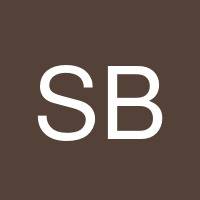 Salvatore Birardi's profile image