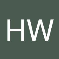Hongzheng Wang's profile image