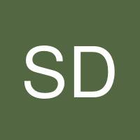 Sergio De Hoyos's profile image