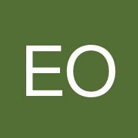 Ernesto Orlando Martinez Jr's profile image