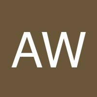 Amy L Wells's profile image