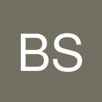 Bakr Shahaltough's profile image