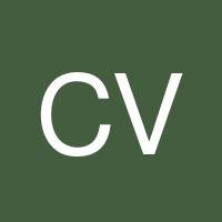Cristina Violini's profile image