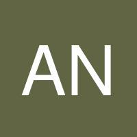 Alem Nigussie's profile image