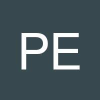 Pedram Esmaeelzadeh's profile image