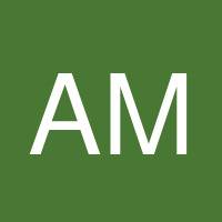 Amir Melzer's profile image