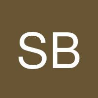 Santiago Bis's profile image