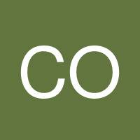 Catherine O'Neil's profile image