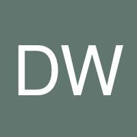 Dylan Wool's profile image