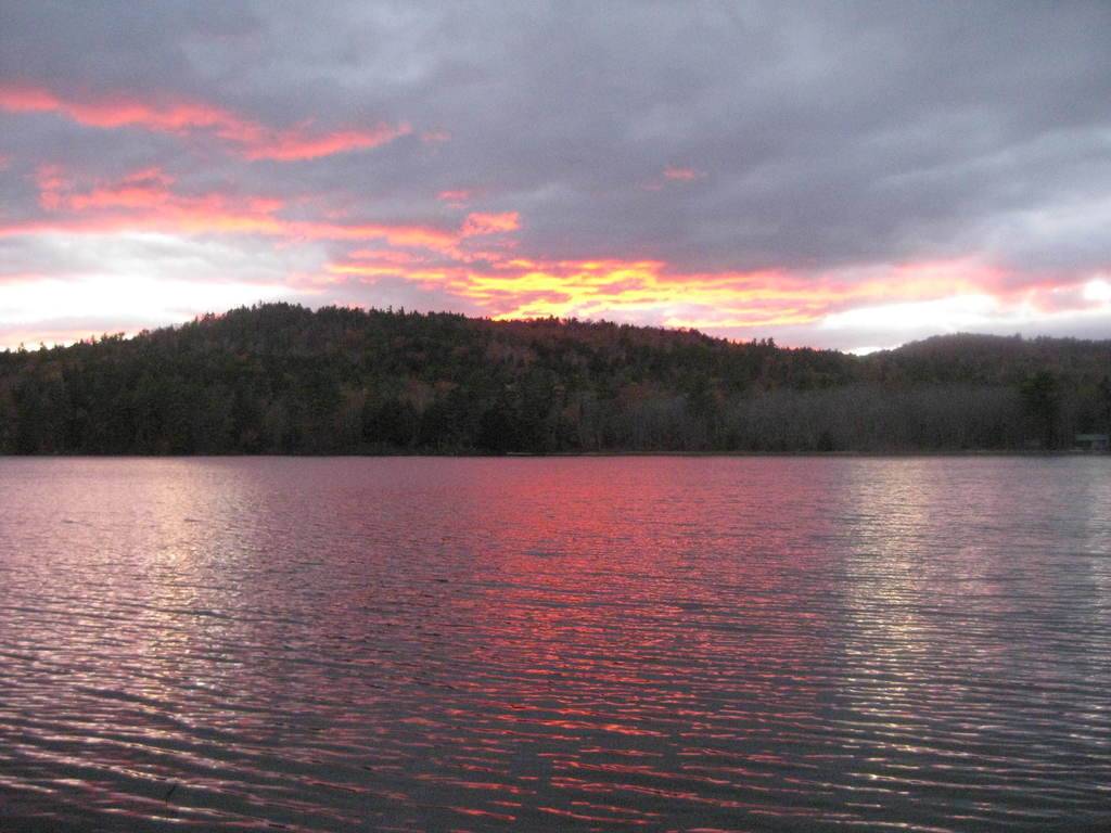 Michael Rottersman's profile image