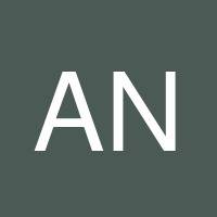 Apirada Nititham's profile image