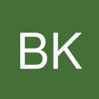 Berkcan Kapu's profile image
