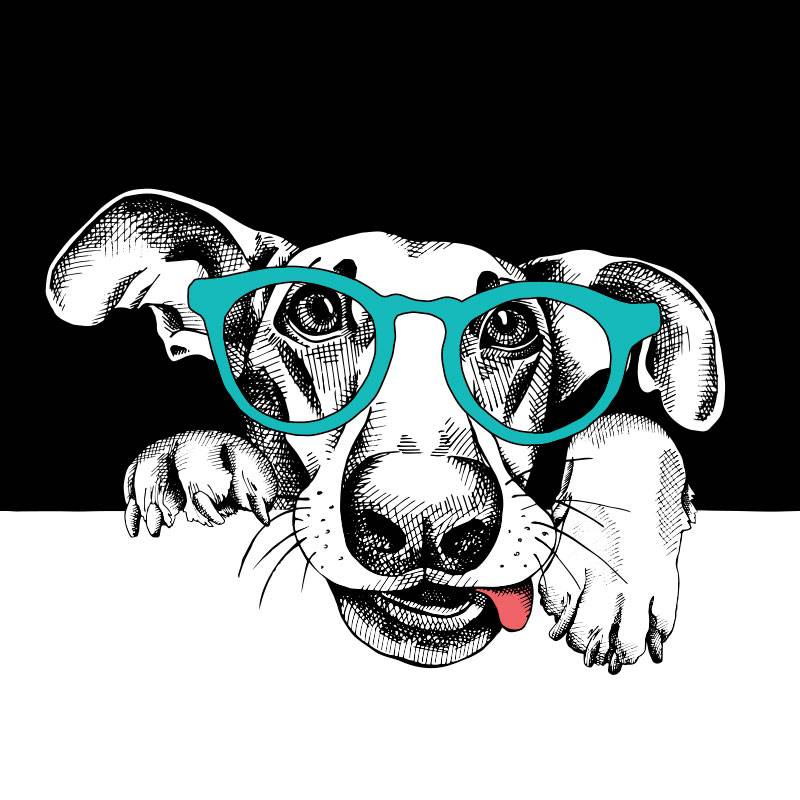 Sara Gilbert's profile image