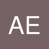 Ahmed E.Fathy's profile image