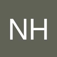 Naser Hussaini's profile image