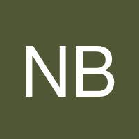 Nelson Bridges's profile image