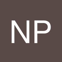 Nazar Pekhotin's profile image