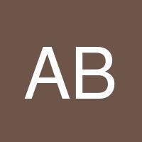 Ankush Bassi's profile image