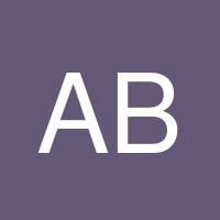 Aistis Brilinkevicius's profile image