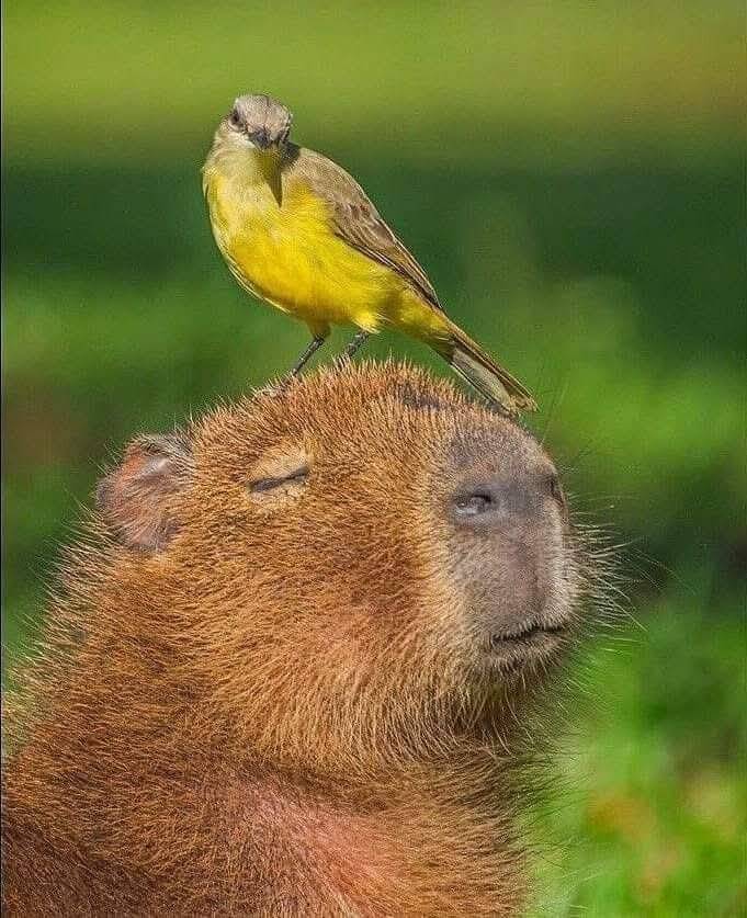 Justin Pool's profile image