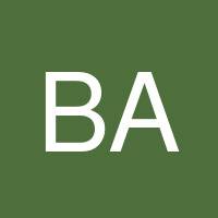 Bamidele Akinniyi's profile image