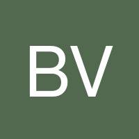 Brittany Villarreal's profile image