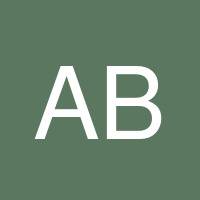 Amelie Bohlin's profile image