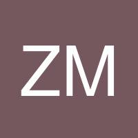 Zalmen March's profile image