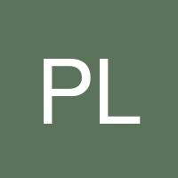 Pavlos Lesses's profile image