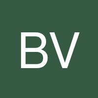 Blaise Valeo's profile image