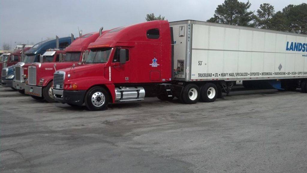 Steve Shepard's profile image