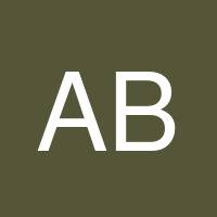 Amir Brownie's profile image