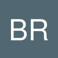 Barbara Ramos's profile image